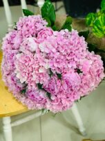 IMG_5233.jpg