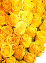 yellow-roses-heart-box-arrengement-flowers-in-serik-2.webp